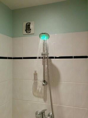 Shower, towels, toilet paper