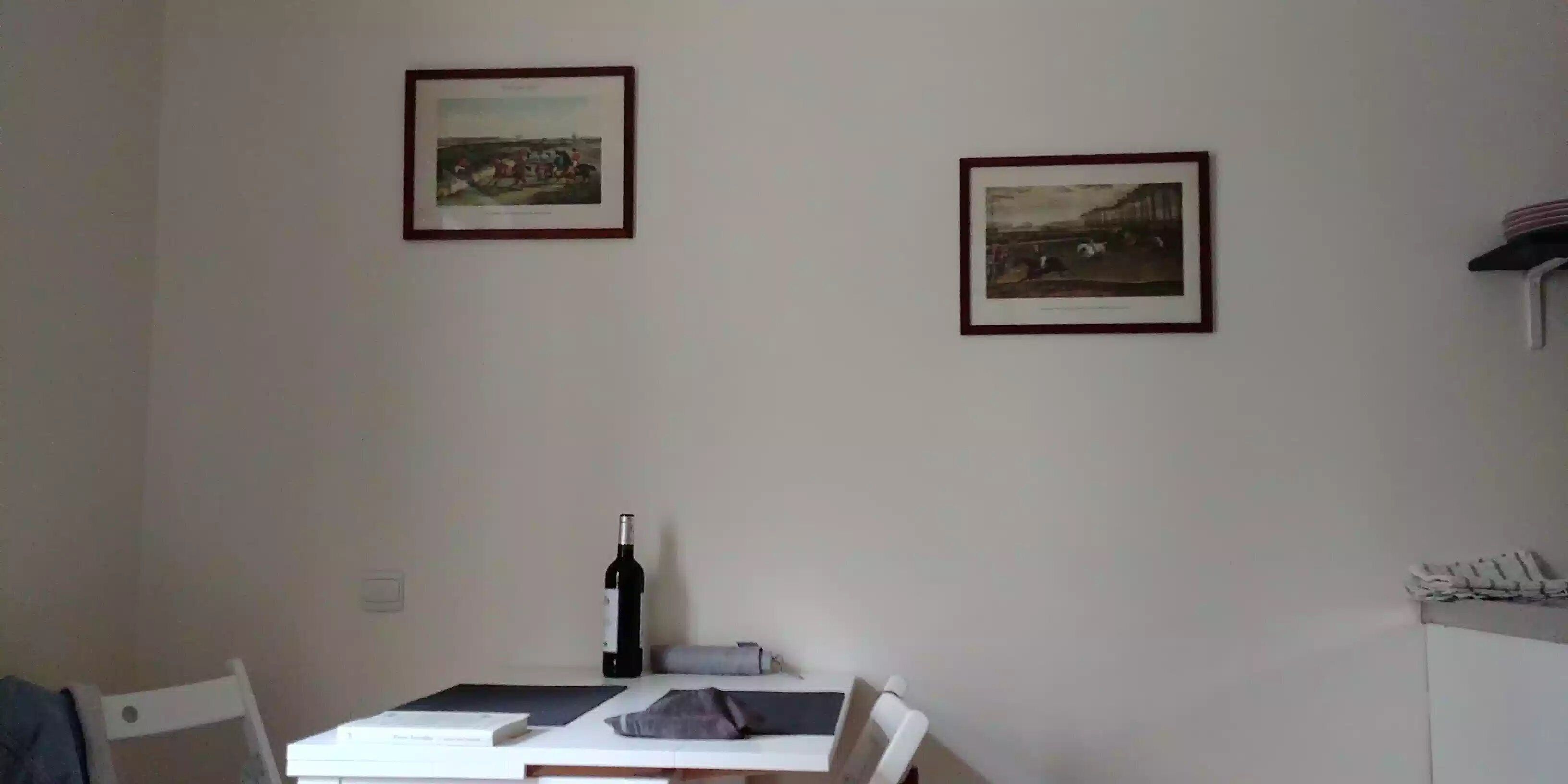 Charming studio in the heart of Amboise with gorgeous views of the Château! 