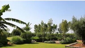 A well-maintained garden with a variety of trees and shrubs, a neatly trimmed lawn, and a paved pathway. - Premium Suite for 2 in Marrakesh (Marrakech)