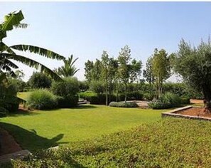 A well-maintained garden with a variety of trees and shrubs, a neatly trimmed lawn, and a paved pathway. - Premium Suite for 2 in Marrakesh (Marrakech)
