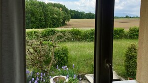 Une vue depuis une fenêtre donnant sur un paysage rural, avec des champs, des arbres et des fleurs violettes.