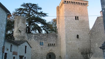 Un edificio histórico de piedra con una torre central, un patio y un árbol al fondo.