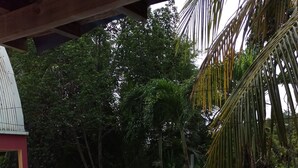 Una piscina de madera rodeada de abundante vegetación, con una parrilla en primer plano.