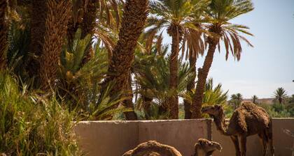 Skoura Lodge Ouarzazate