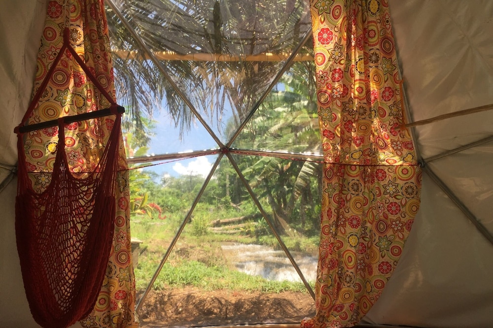 Geodesic Domes In The Jungle