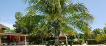 African villa with tropical garden, private beach by the sea, with wifi 