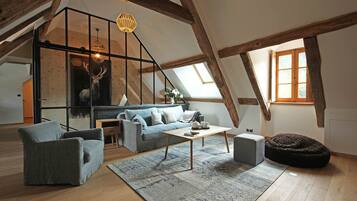 TV connectée, cheminée, lecteur de DVD, livres