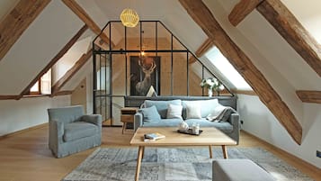 TV connectée, cheminée, lecteur de DVD, livres