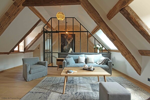 Smart TV, fireplace, DVD player, books