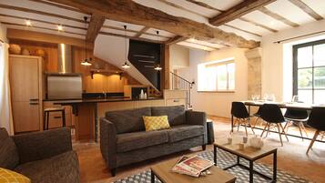 TV connectée, cheminée, lecteur de DVD, livres