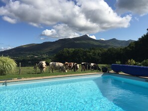 Piscine chauffée