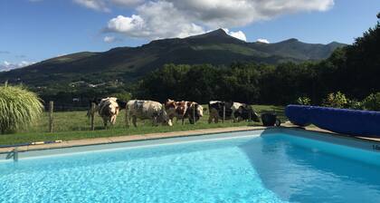 Magnifique maison / 6.000 m2 Vue splendide Clim Piscine chauffée Home Cinéma