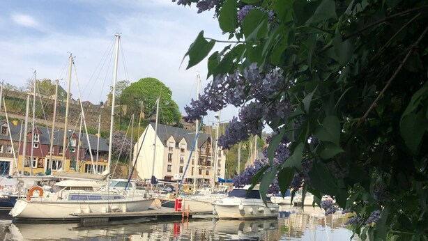 A marina with several boats docked, surrounded by buildings with balconies and a large tree. - Small charming Breton house (Nivillac)