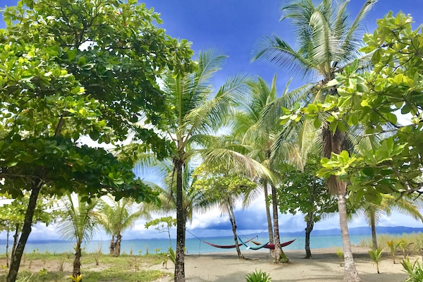 On the beach, sun-loungers, beach towels