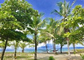 På stranden, solsenger og strandhåndklær