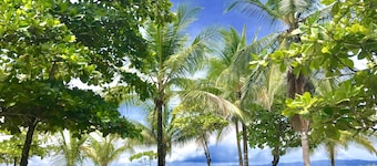 Beach house. Swimming & Wildlife