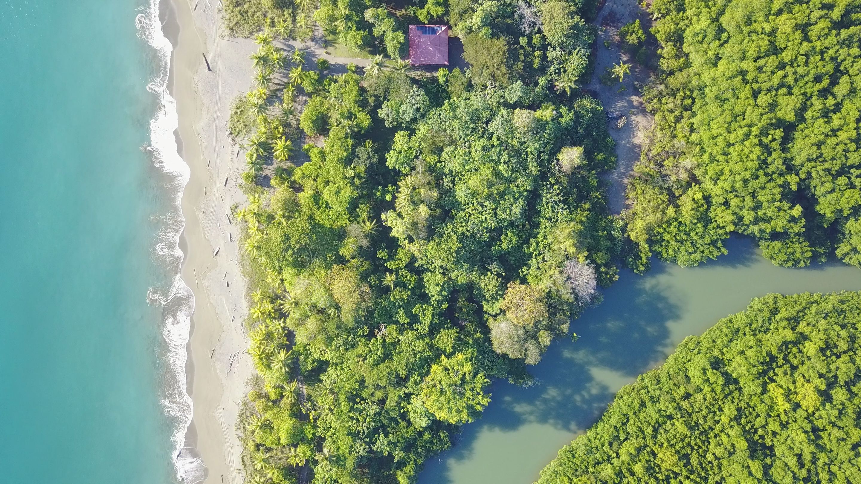 Vista aérea de una zona costera con abundante vegetación, una playa y un pequeño edificio con paneles solares.