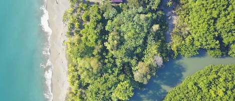 Vista aérea de una zona costera con abundante vegetación, una playa y un pequeño edificio con paneles solares.