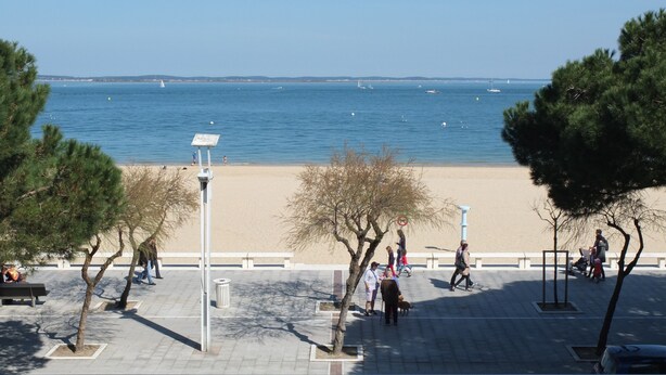 Eine Küstenpromenade mit Sandstrand, Bäumen und freiem Blick auf das Meer.