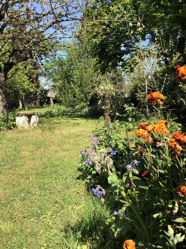 Overnatningsstedets område