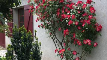 DĂ©tail de lâextĂ©rieur