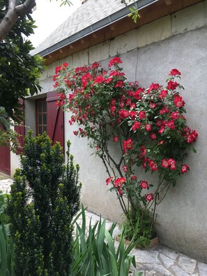 Exterior detail - NEW -The house of the sailor -Lovely house on the Loire near Saumur (Saint-Clément-des-Levées)
