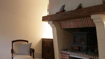 Télévision, cheminée, livres