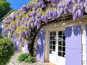 Un bâtiment orné de plantes grimpantes aux fleurs violettes, un chemin de pierre et une porte bleue.