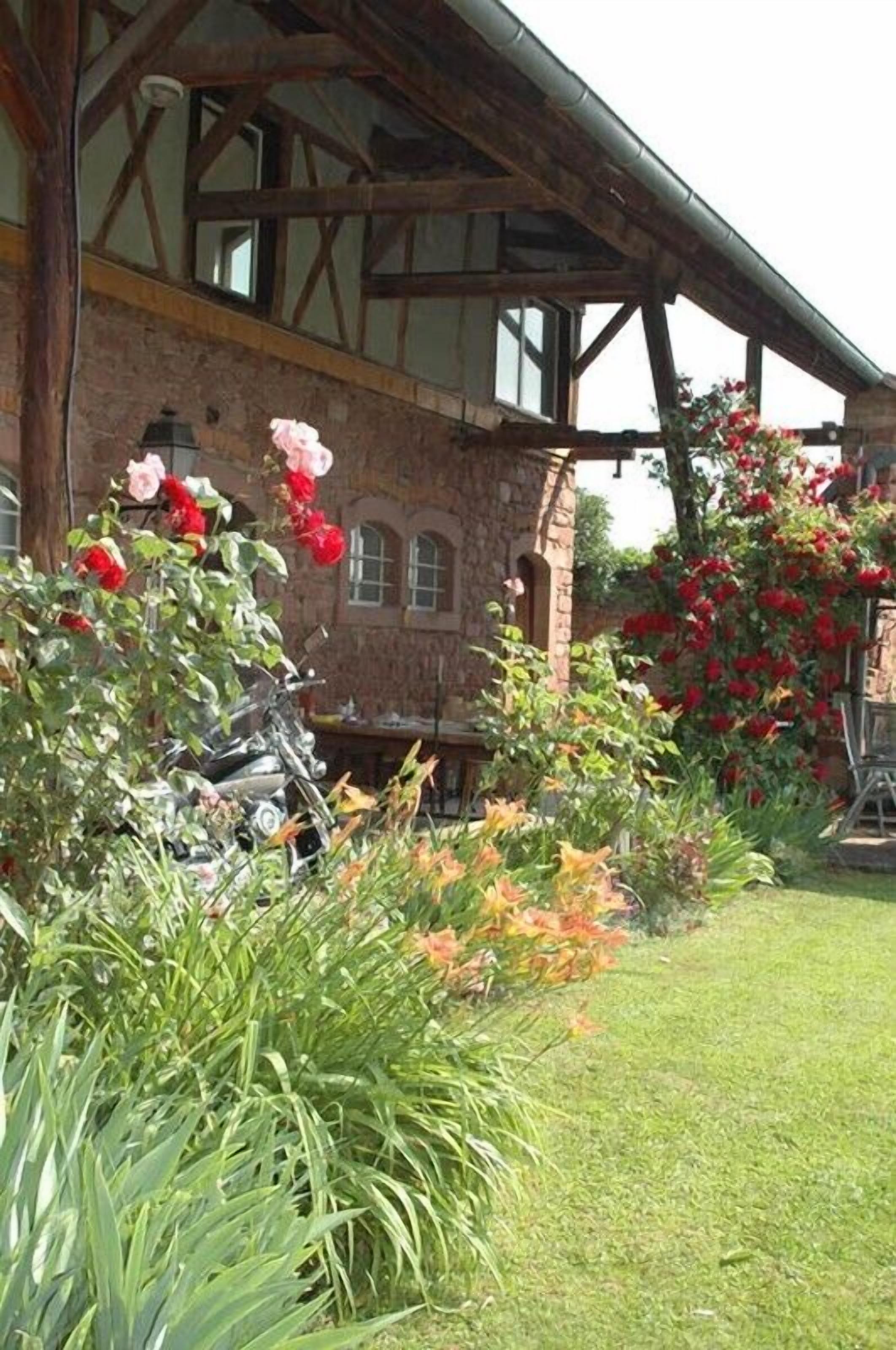 Terrein van de accommodatie