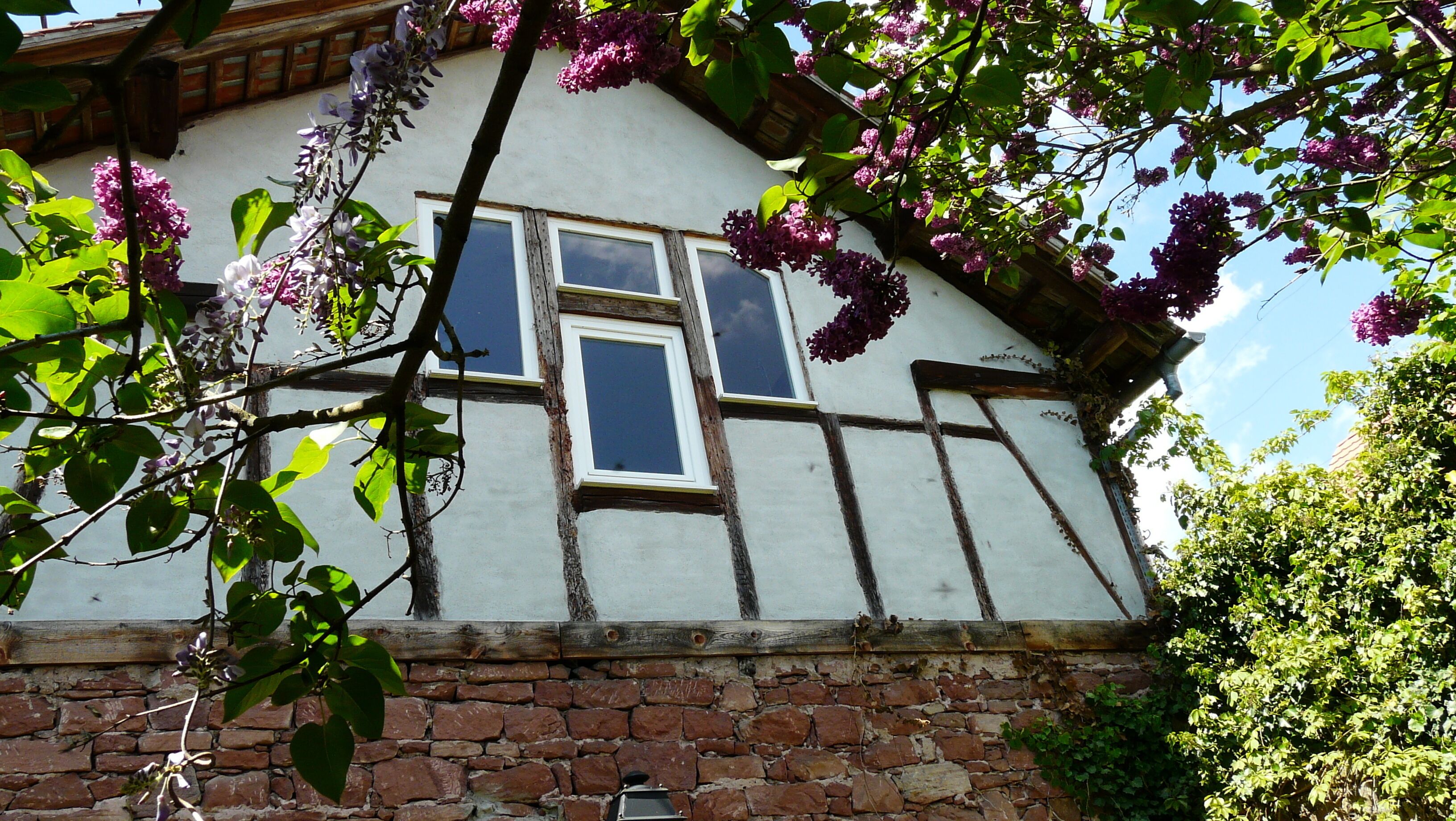 Una casa tradicional de entramado de madera con base de piedra, dos ventanas y árboles en flor al frente.