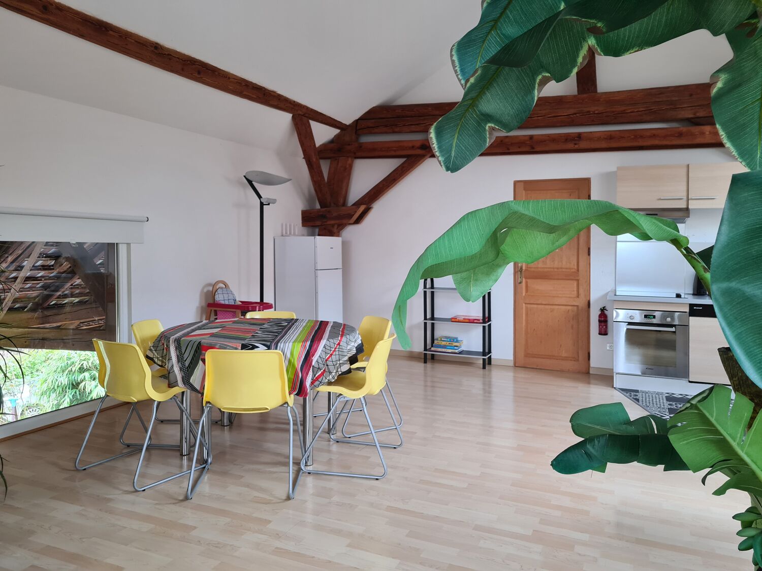 Een eetruimte met een tafel en gele stoelen, een keuken met moderne apparatuur, en grote groene planten.