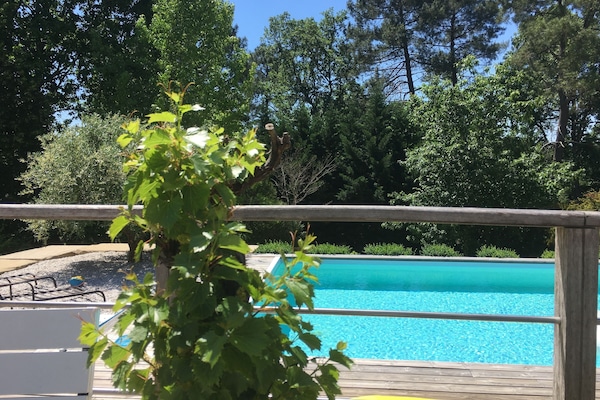 Vue depuis salon d’été