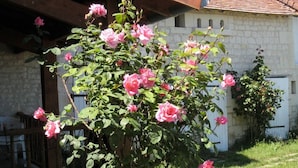 Un rosal con flores rosas frente a un edificio de piedra con techo de tejas.
