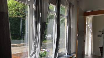 A room with a window overlooking a street, a radiator, and a door.