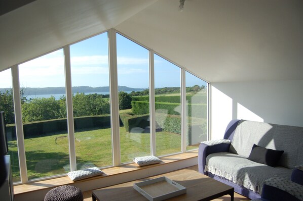 Télévision, cheminée, livres, chaîne hi-fi