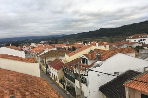 Vista desde la propiedad
