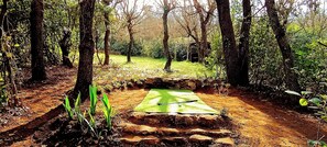 Property grounds - Les Lilas des Chênes (Piolenc)