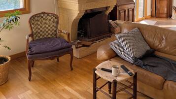 TV connectée, cheminée, lecteur de DVD, livres