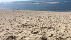On the beach - BEAUTIFUL FAMILY HOME IN THE HEART OF THE BASSIN D'ARCACHON (Lanton)