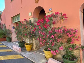 Exterior detail
