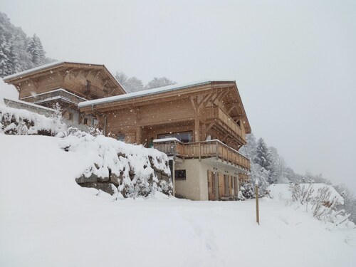 Vue Mont-Blanc Sallanches