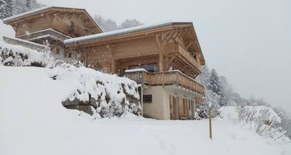Vue Mont-Blanc Sallanches