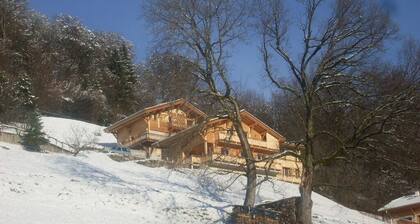 Vue Mont-Blanc Sallanches