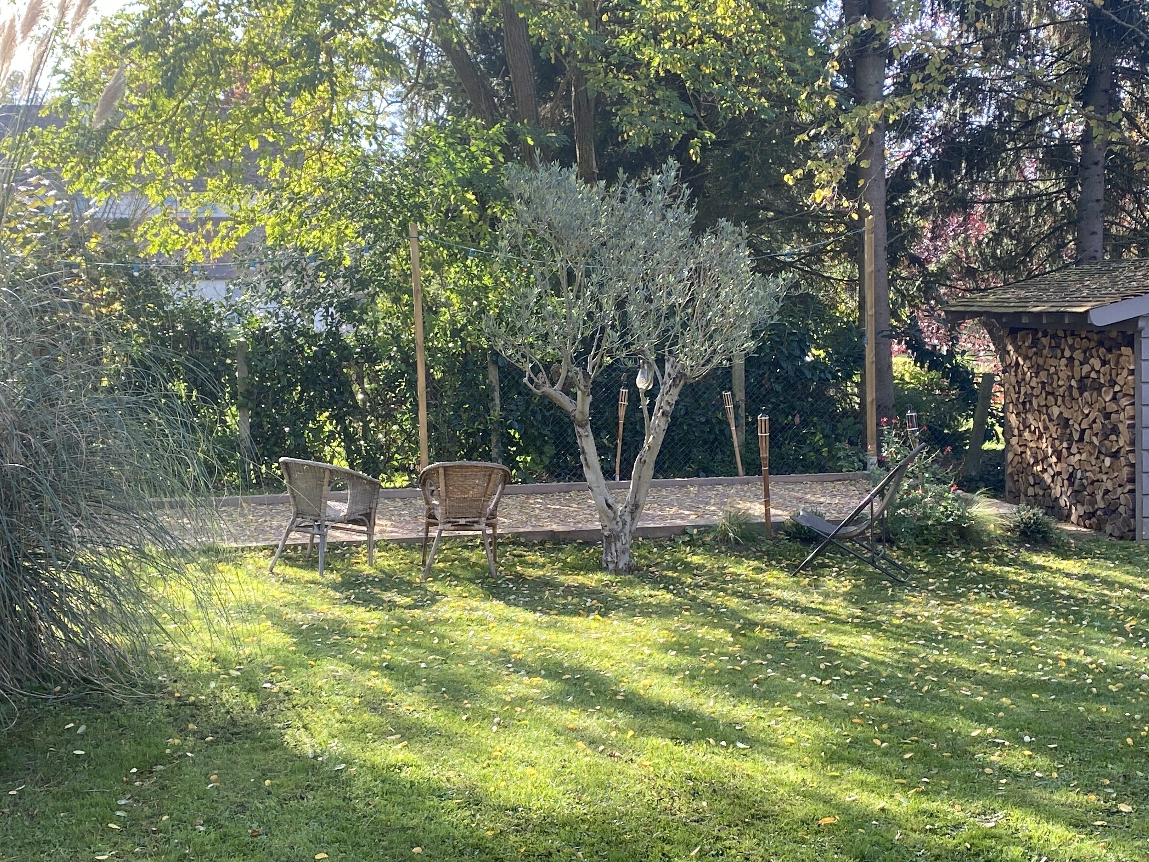 A garden with two wicker chairs, a small shed, and a tree.