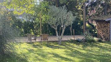 A garden with two wicker chairs, a small shed, and a tree.