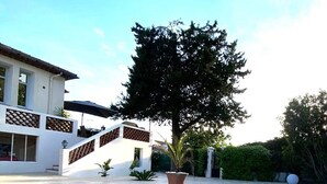 A swimming pool with a clear blue water surface, surrounded by a white building with a balcony and a large tree in the center.