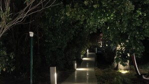 A stone pathway leading up to a set of steps surrounded by greenery.