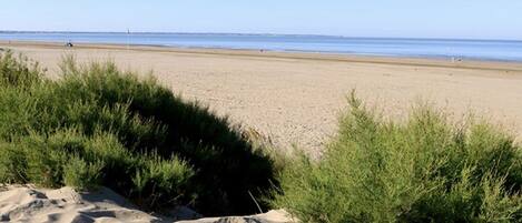 Plage à proximité