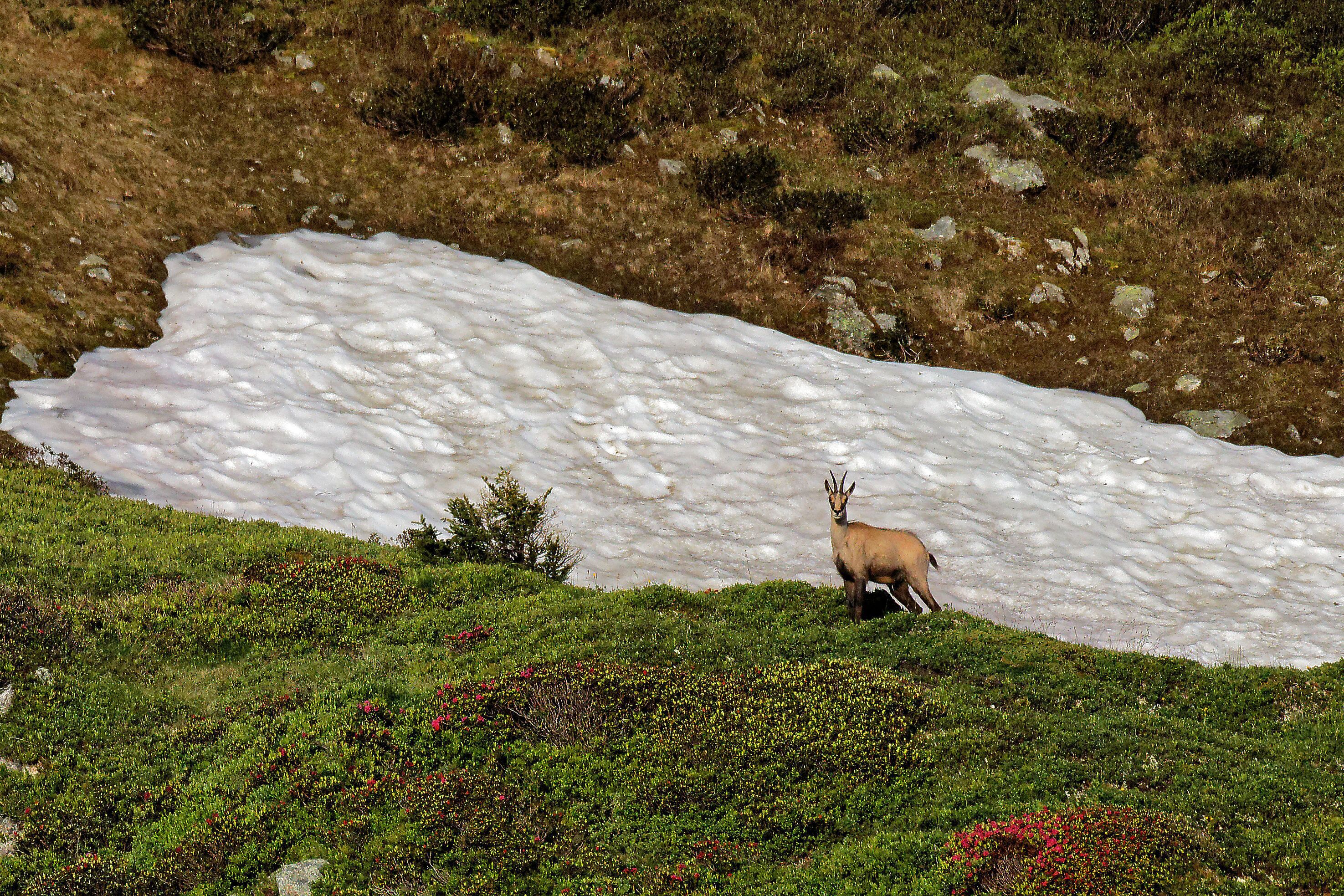 The "once Upon a Time" cabin
