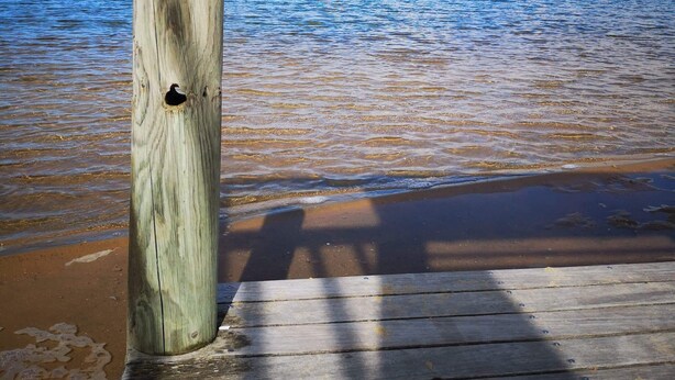 Une jetée en bois s’étendant sur une étendue d’eau calme, sous un ciel dégagé.